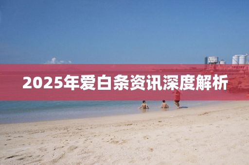2025年愛白條資訊深度解析
