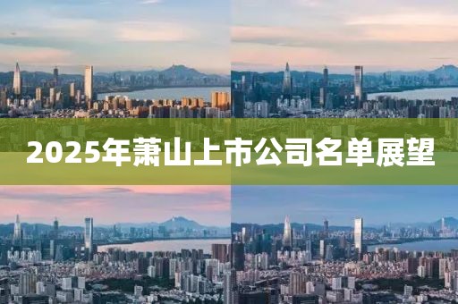 2025年蕭山上市公司名單展望