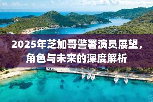 2025年芝加哥警署演員展望,角色與未來的深度解析