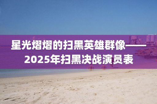 星光熠熠的掃黑英雄群像——2025年掃黑決戰(zhàn)演員表