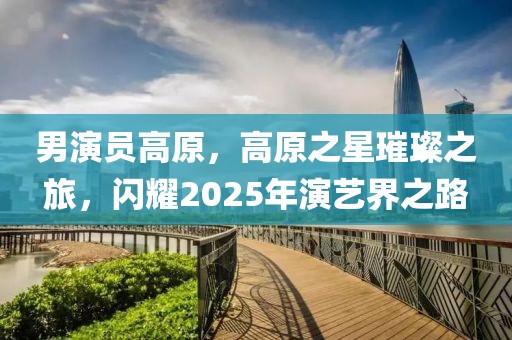 男演員高原,高原之星璀璨之旅,閃耀2025年演藝界之路