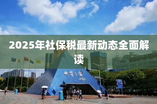 2025年社保稅最新動(dòng)態(tài)全面解讀