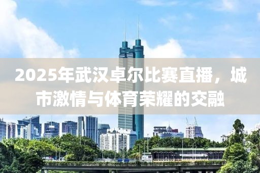 2025年武漢卓爾比賽直播,城市激情與體育榮耀的交融