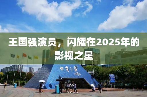 王國強演員,閃耀在2025年的影視之星