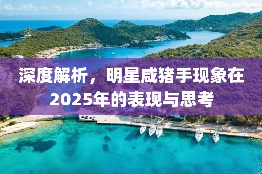 深度解析,明星咸豬手現(xiàn)象在2025年的表現(xiàn)與思考