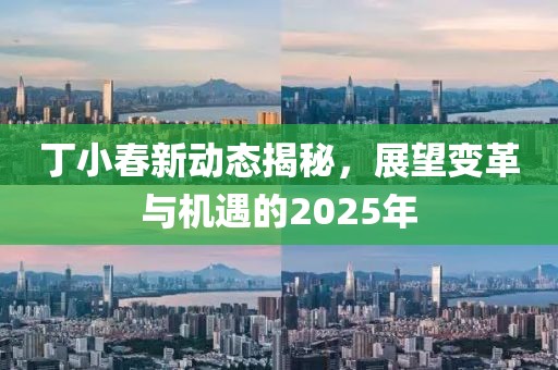 丁小春新動態揭秘,展望變革與機遇的2025年