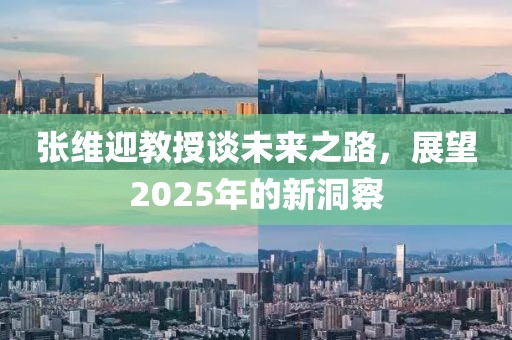 張維迎教授談未來之路,展望2025年的新洞察