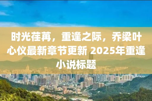 時(shí)光荏苒,重逢之際,喬梁葉心儀最新章節(jié)更新 2025年重逢小說標(biāo)題
