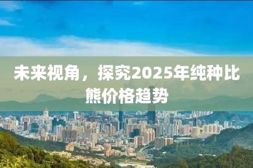 未來視角，探究2025年純種比熊價(jià)格趨勢(shì)