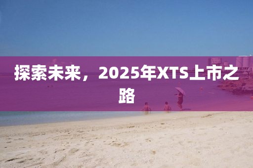 探索未來,2025年XTS上市之路