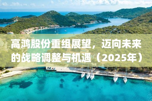高鴻股份重組展望,邁向未來的戰略調整與機遇(2025年)