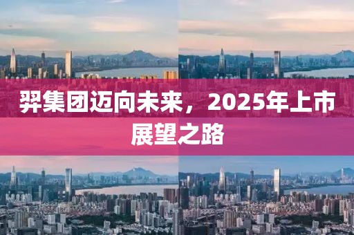 羿集團(tuán)邁向未來,2025年上市展望之路