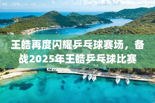 王皓再度閃耀乒乓球賽場,備戰2025年王皓乒乓球比賽