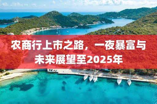 農商行上市之路,一夜暴富與未來展望至2025年