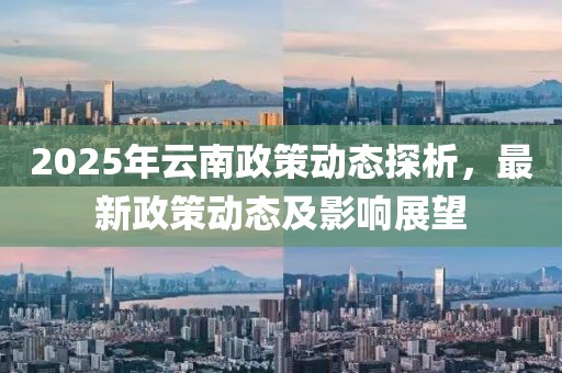 2025年云南政策動態探析,最新政策動態及影響展望