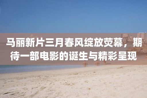 2025年3月 第15頁