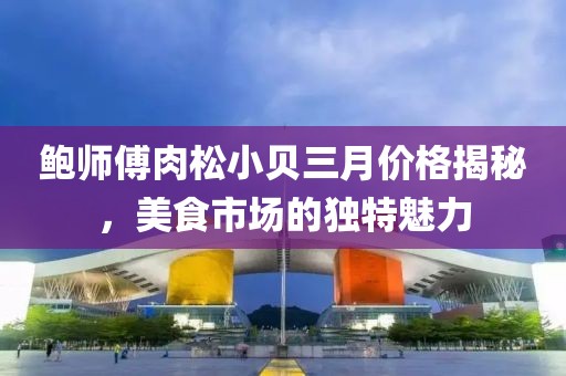 鮑師傅肉松小貝三月價格揭秘,美食市場的獨特魅力