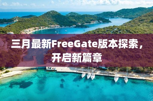 三月最新FreeGate版本探索，開啟新篇章