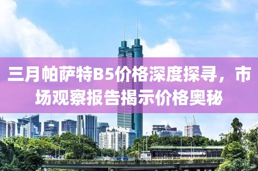 三月帕薩特B5價格深度探尋,市場觀察報告揭示價格奧秘