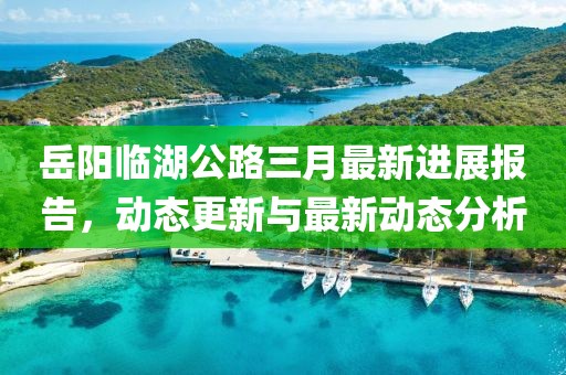 岳陽臨湖公路三月最新進展報告,動態更新與最新動態分析