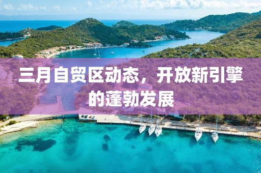 三月自貿(mào)區(qū)動態(tài),開放新引擎的蓬勃發(fā)展