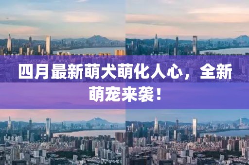 四月最新萌犬萌化人心,全新萌寵來襲!