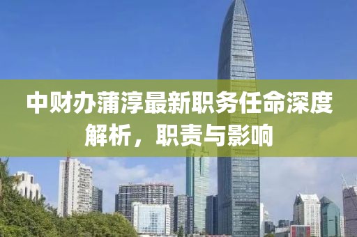 中財辦蒲淳最新職務任命深度解析,職責與影響