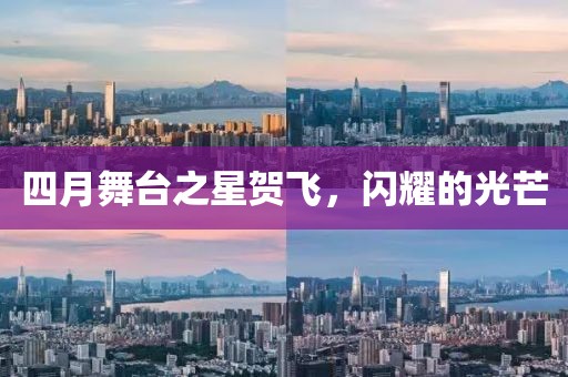 四月舞臺(tái)之星賀飛,閃耀的光芒