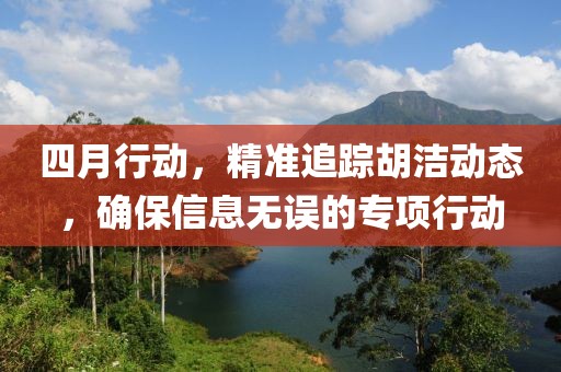 四月行動,精準追蹤胡潔動態,確保信息無誤的專項行動