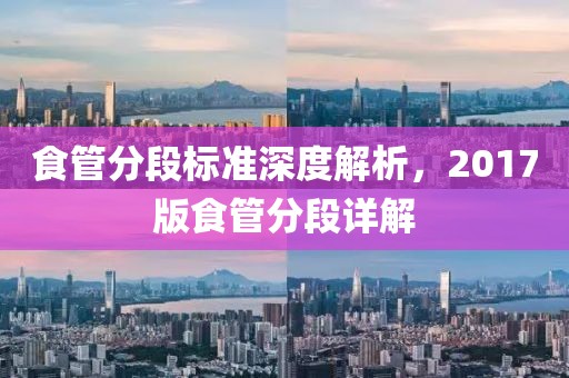 食管分段標準深度解析,2017版食管分段詳解