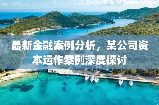 最新金融案例分析，某公司資本運作案例深度探討