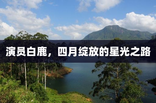 演員白鹿,四月綻放的星光之路