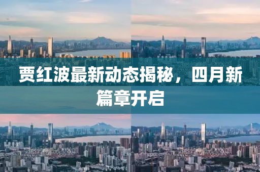賈紅波最新動態揭秘,四月新篇章開啟