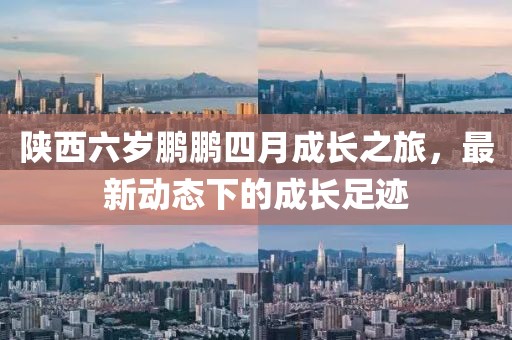陜西六歲鵬鵬四月成長之旅，最新動態下的成長足跡