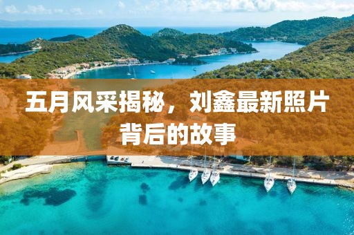 五月風(fēng)采揭秘,劉鑫最新照片背后的故事