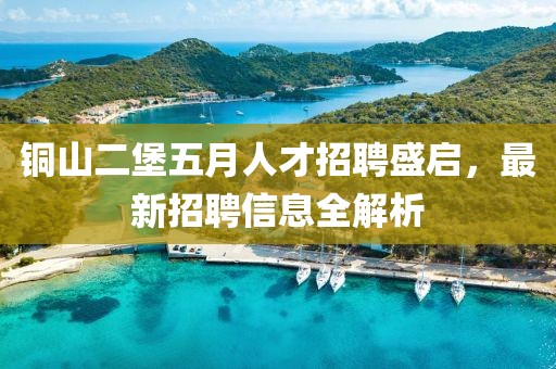 銅山二堡五月人才招聘盛啟,最新招聘信息全解析