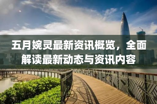 五月婉靈最新資訊概覽,全面解讀最新動態與資訊內容