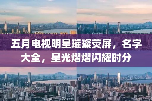 五月電視明星璀璨熒屏,名字大全,星光熠熠閃耀時分
