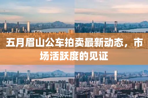 五月眉山公車拍賣最新動態,市場活躍度的見證