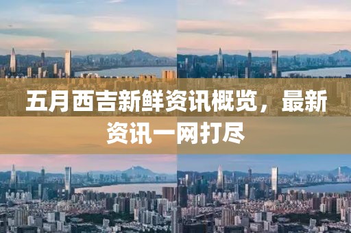 五月西吉新鮮資訊概覽,最新資訊一網打盡