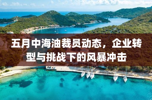 五月中海油裁員動態(tài),企業(yè)轉(zhuǎn)型與挑戰(zhàn)下的風(fēng)暴沖擊