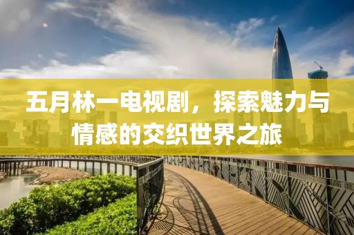 五月林一電視劇,探索魅力與情感的交織世界之旅