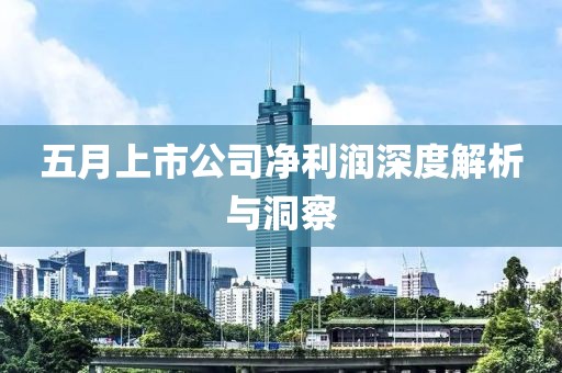 五月上市公司凈利潤深度解析與洞察