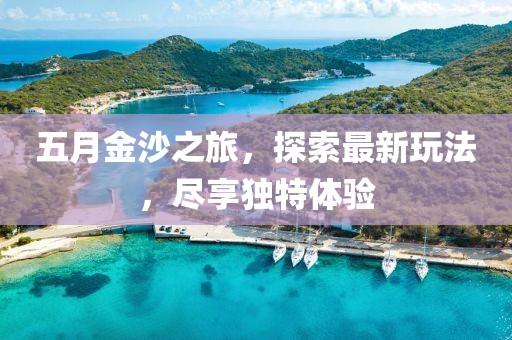 五月金沙之旅,探索最新玩法,盡享獨特體驗