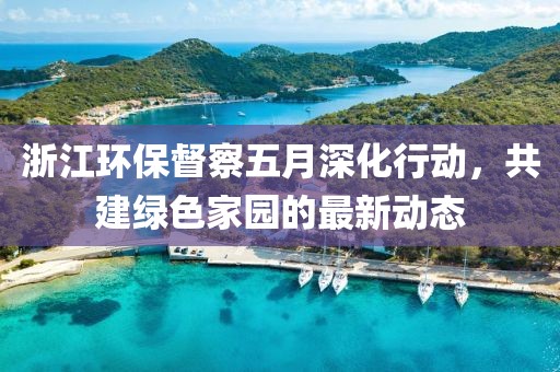 浙江環保督察五月深化行動,共建綠色家園的最新動態