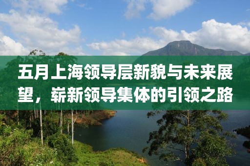 五月上海領導層新貌與未來展望,嶄新領導集體的引領之路