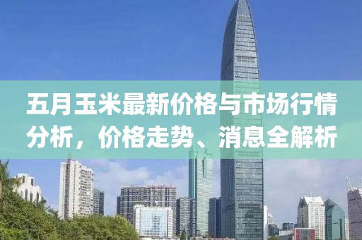 五月玉米最新價格與市場行情分析,價格走勢、消息全解析