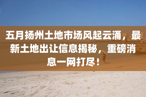 五月揚州土地市場風起云涌，最新土地出讓信息揭秘，重磅消息一網打盡！