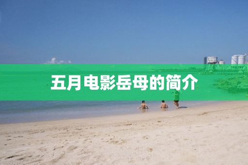 五月電影岳母的簡介