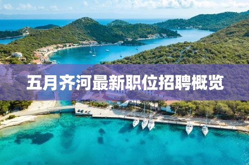 五月齊河最新職位招聘概覽
